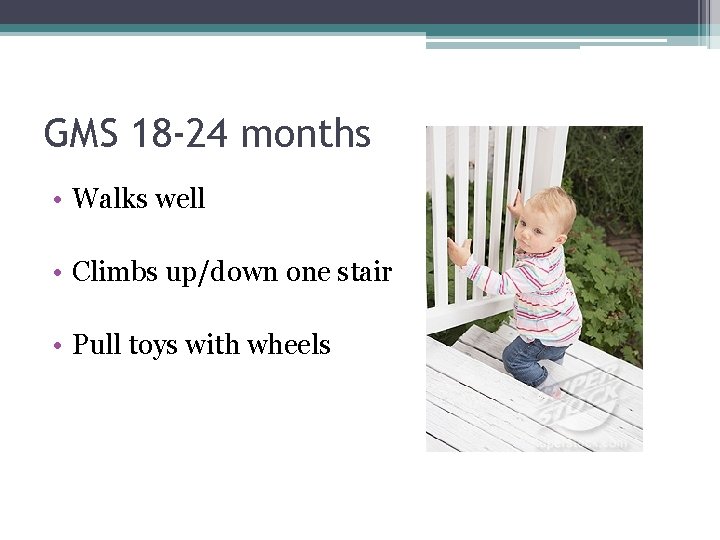 GMS 18 -24 months • Walks well • Climbs up/down one stair • Pull