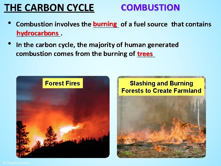 THE CARBON CYCLE • • COMBUSTION Combustion involves the burning _______ of a fuel