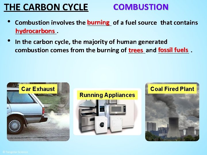 THE CARBON CYCLE • • COMBUSTION Combustion involves the burning _______ of a fuel