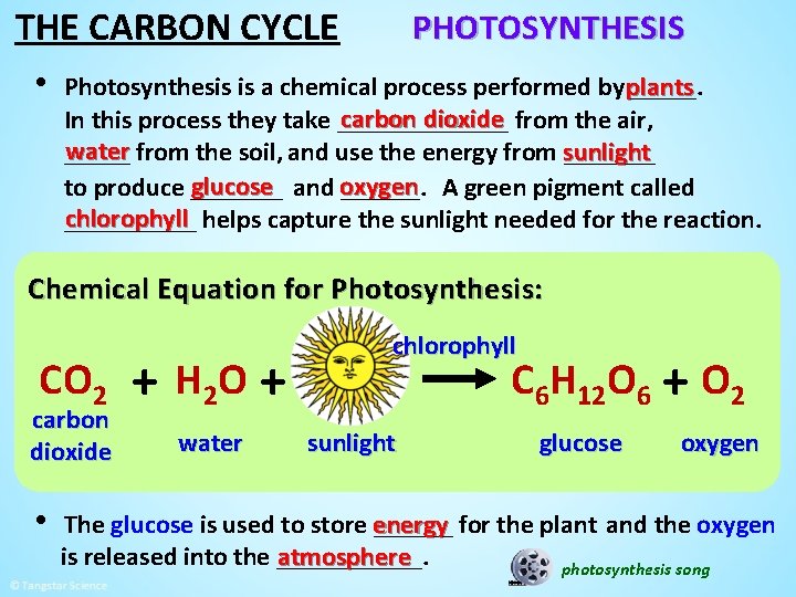 THE CARBON CYCLE • PHOTOSYNTHESIS Photosynthesis is a chemical process performed by plants _____.