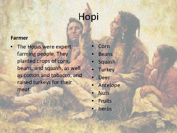 Hopi Farmer • The Hopis were expert farming people. They planted crops of corn,