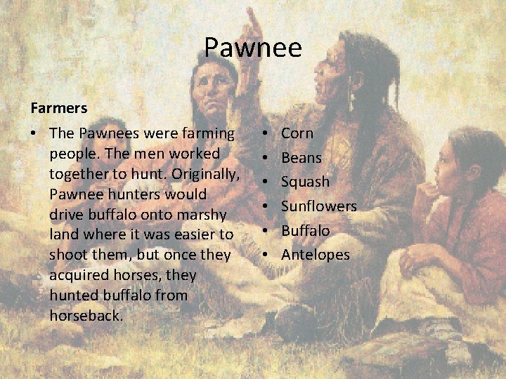 Pawnee Farmers • The Pawnees were farming people. The men worked together to hunt.