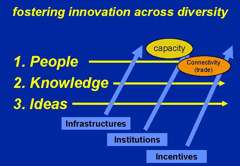 fostering innovation across diversity capacity 1. People 2. Knowledge 3. Ideas Connectivity (trade) Infrastructures
