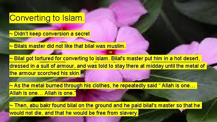 Converting to Islam. ~ Didn’t keep conversion a secret ~ Bilals master did not