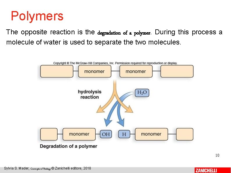 Polymers The opposite reaction is the degradation of a polymer. During this process a