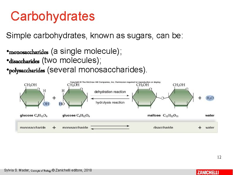 Carbohydrates Simple carbohydrates, known as sugars, can be: • monosaccharides (a single molecule); •