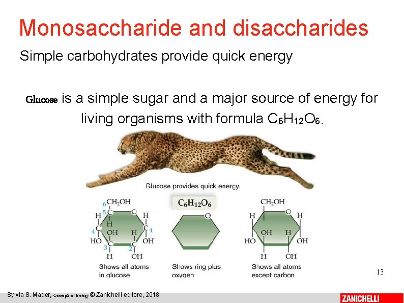 Monosaccharide and disaccharides Simple carbohydrates provide quick energy Glucose is a simple sugar and