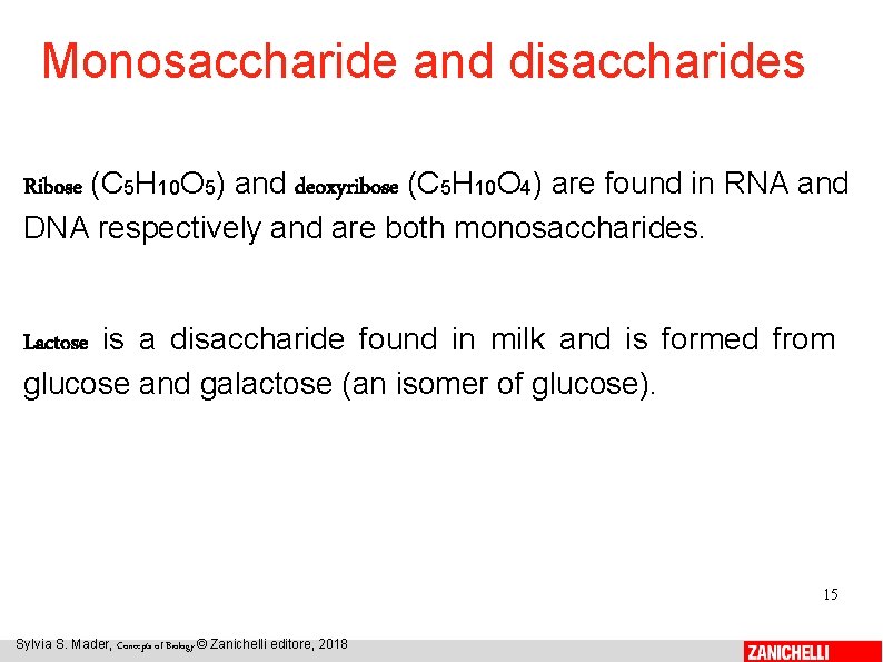 Monosaccharide and disaccharides Ribose (C 5 H 10 O 5) and deoxyribose (C 5