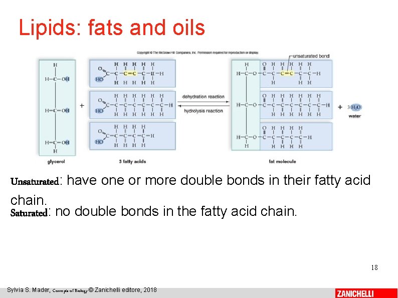 Lipids: fats and oils Unsaturated: have one or more double bonds in their fatty