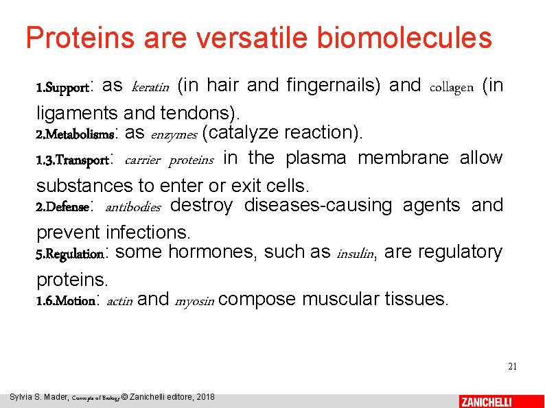 Proteins are versatile biomolecules 1. Support: as keratin (in hair and fingernails) and collagen
