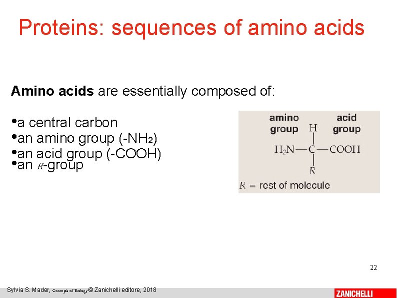 Proteins: sequences of amino acids Amino acids are essentially composed of: • a central
