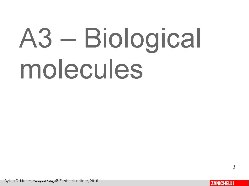 A 3 – Biological molecules 3 Sylvia S. Mader, Concepts of Biology © Zanichelli