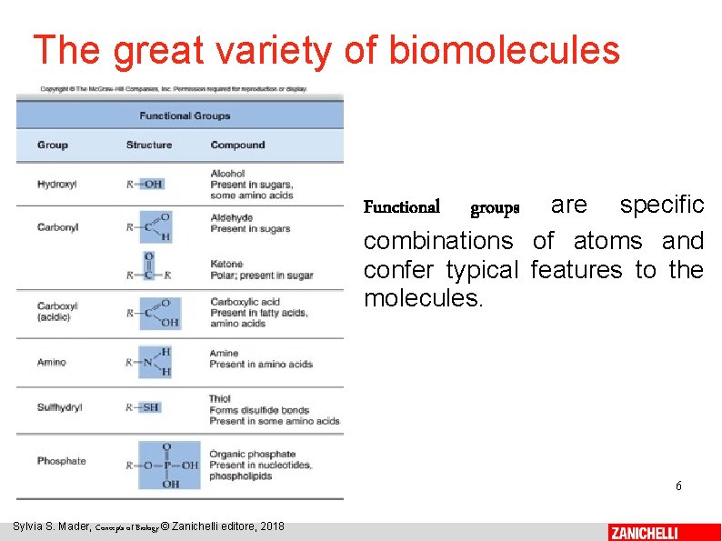 The great variety of biomolecules Functional groups are specific combinations of atoms and confer