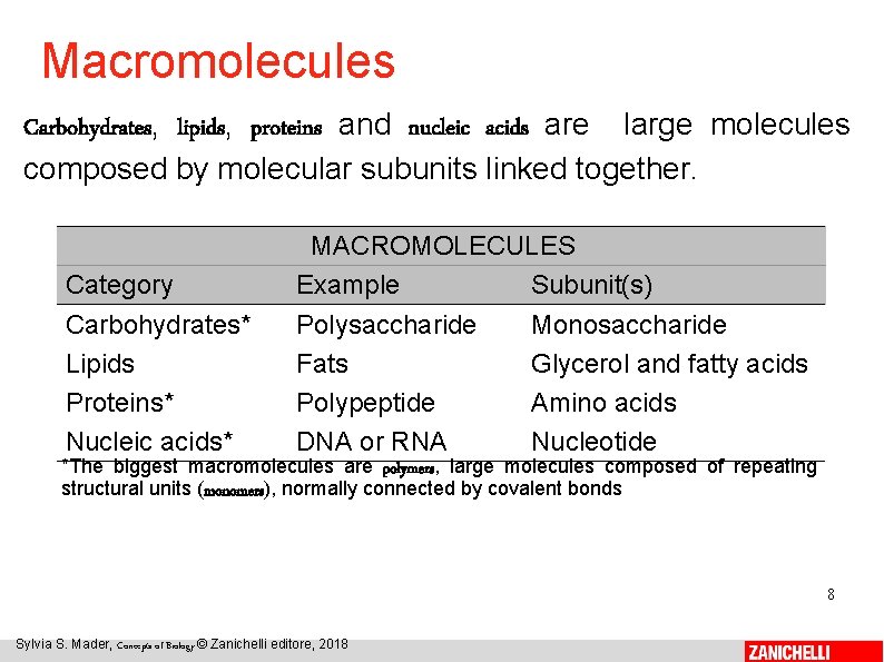 Macromolecules Carbohydrates, lipids, proteins and nucleic acids are large molecules composed by molecular subunits