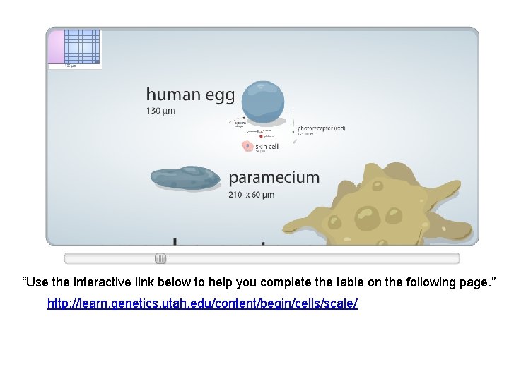 “Use the interactive link below to help you complete the table on the following