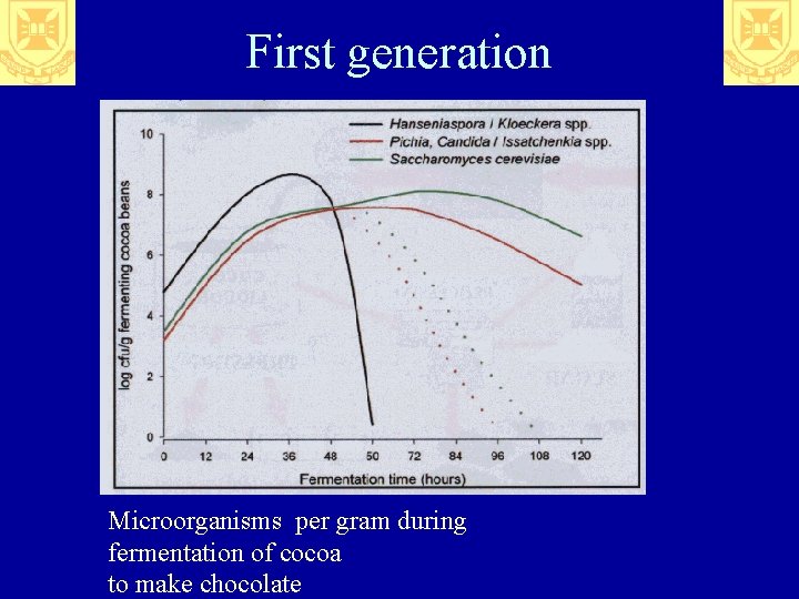 First generation Microorganisms per gram during fermentation of cocoa to make chocolate 