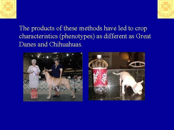 The products of these methods have led to crop characteristics (phenotypes) as different as