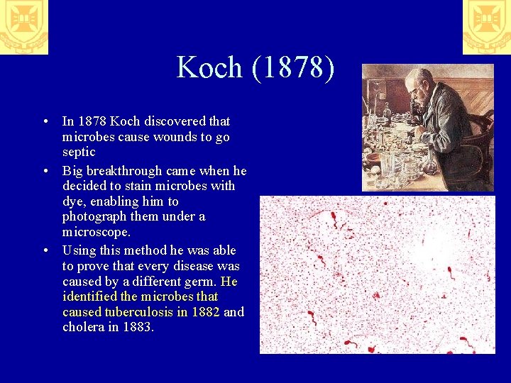 Koch (1878) • In 1878 Koch discovered that microbes cause wounds to go septic