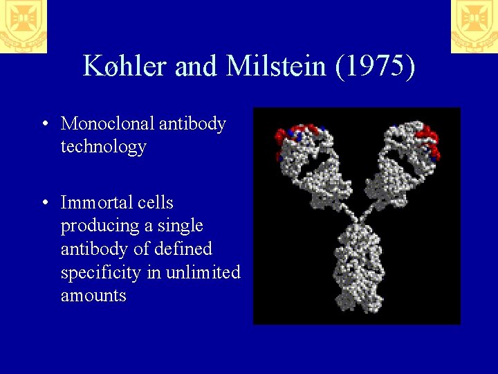 Køhler and Milstein (1975) • Monoclonal antibody technology • Immortal cells producing a single