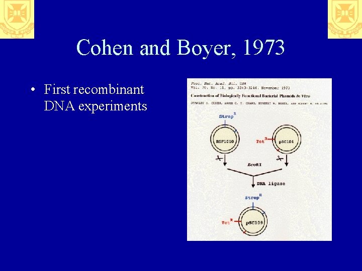 Cohen and Boyer, 1973 • First recombinant DNA experiments 