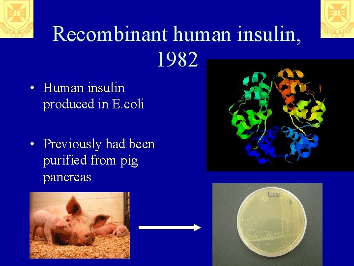 Recombinant human insulin, 1982 • Human insulin produced in E. coli • Previously had