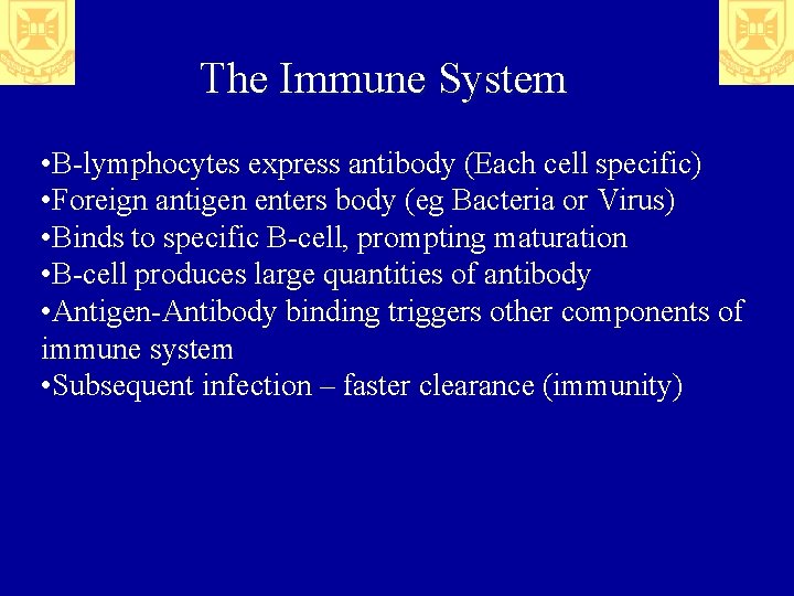 The Immune System • B-lymphocytes express antibody (Each cell specific) • Foreign antigen enters