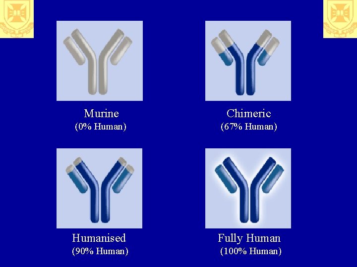 Murine Chimeric (0% Human) (67% Human) Humanised Fully Human (90% Human) (100% Human) 