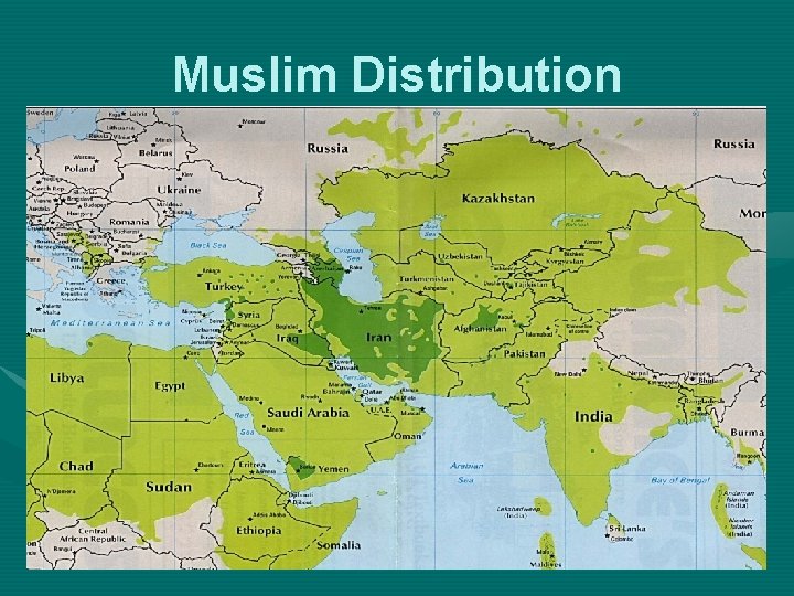 Muslim Distribution 