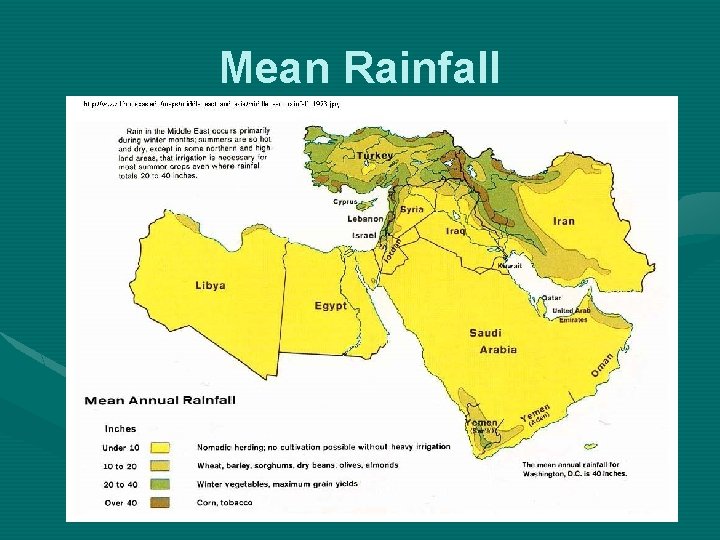 Mean Rainfall 