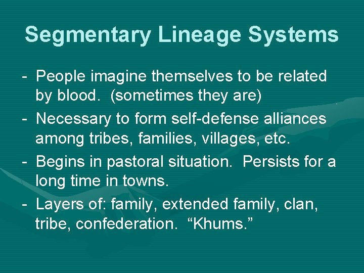 Segmentary Lineage Systems - People imagine themselves to be related by blood. (sometimes they
