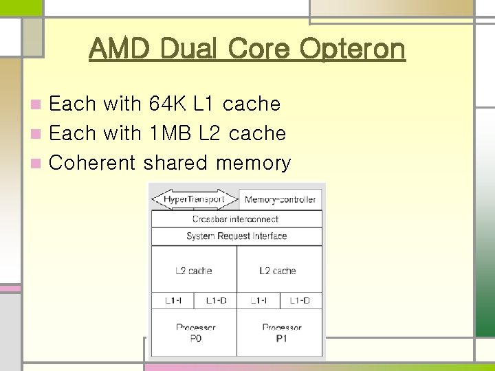 AMD Dual Core Opteron Each with 64 K L 1 cache n Each with