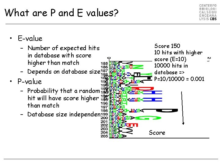 What are P and E values? – Number of expected hits in database with