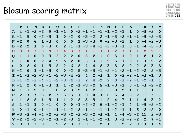 Blosum scoring matrix A R N D C Q E G H I L