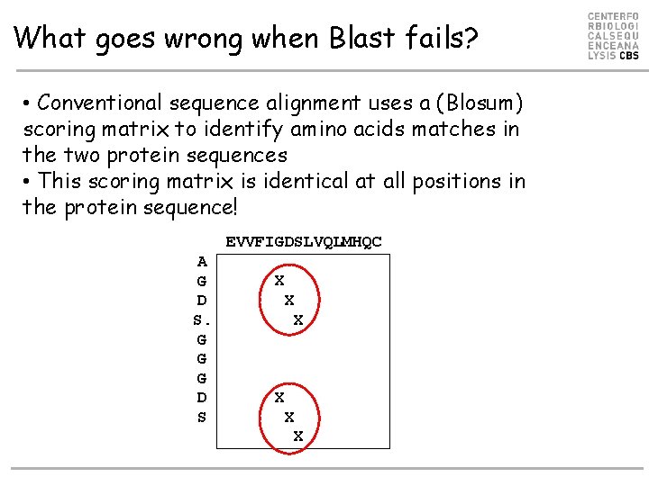 What goes wrong when Blast fails? • Conventional sequence alignment uses a (Blosum) scoring