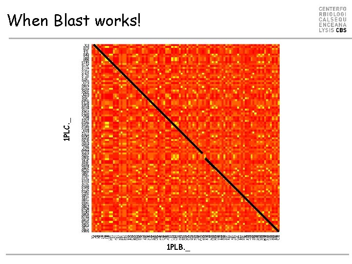 1 PLC. _ When Blast works! 1 PLB. _ 