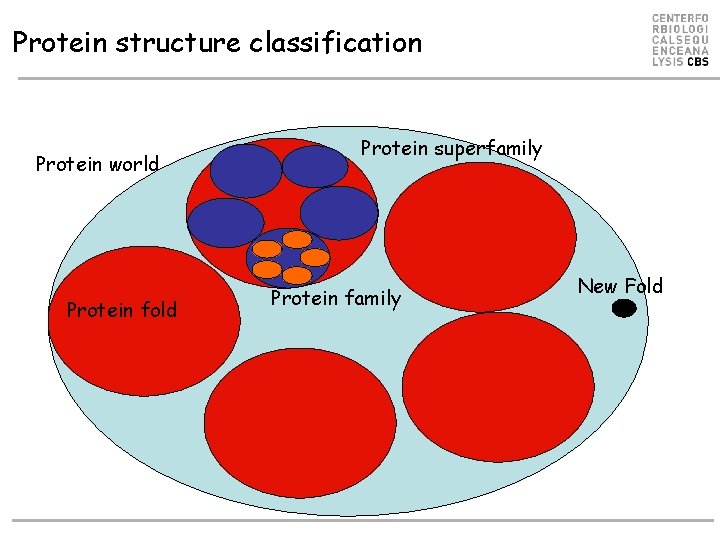 Protein structure classification Protein world Protein fold Protein superfamily Protein family New Fold 