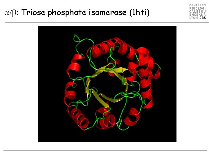 a/b: Triose phosphate isomerase (1 hti) 