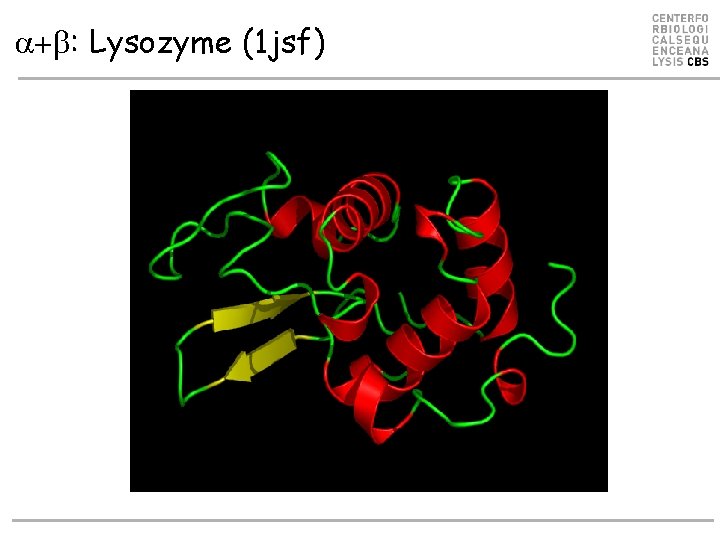 a+b: Lysozyme (1 jsf) 