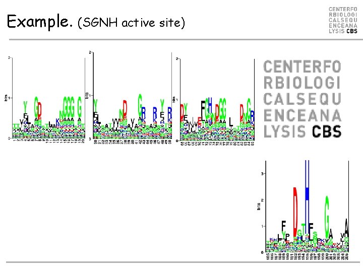 Example. (SGNH active site) 