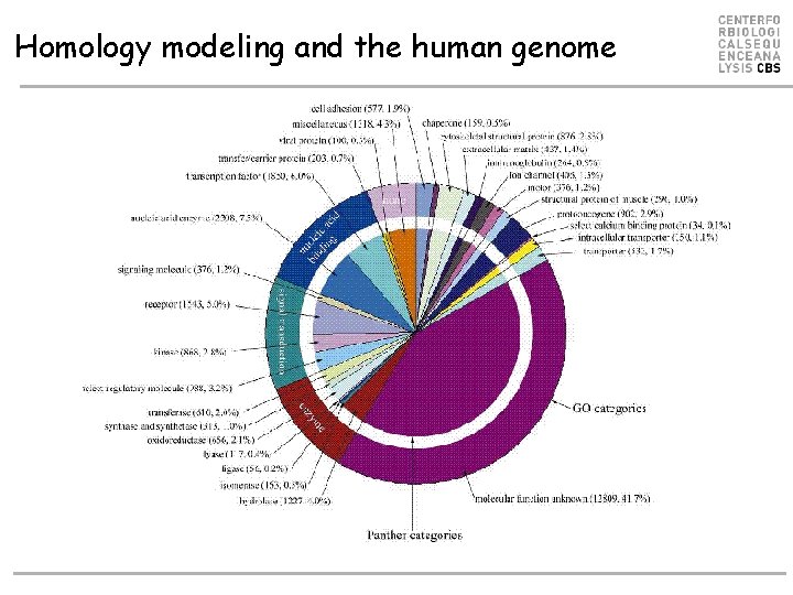 Homology modeling and the human genome 