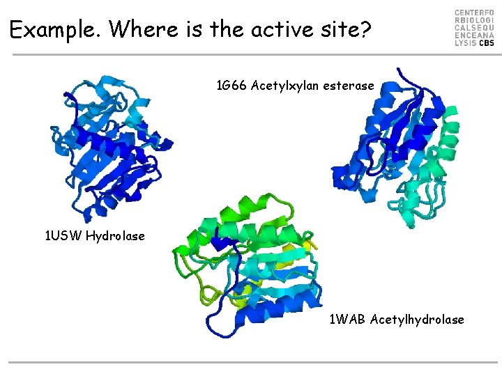 Example. Where is the active site? 1 G 66 Acetylxylan esterase 1 USW Hydrolase