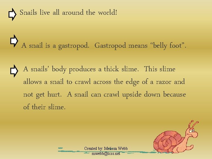 Snails live all around the world! A snail is a gastropod. Gastropod means “belly