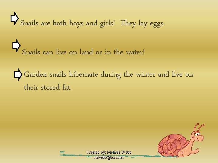 Snails are both boys and girls! They lay eggs. Snails can live on land