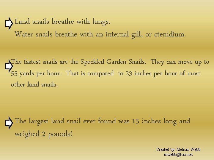 Land snails breathe with lungs. Water snails breathe with an internal gill, or ctenidium.