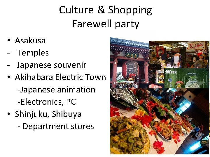 Culture & Shopping Farewell party Asakusa Temples Japanese souvenir Akihabara Electric Town -Japanese animation