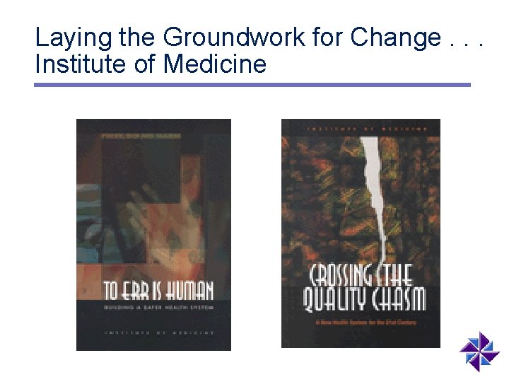 Laying the Groundwork for Change. . . Institute of Medicine 