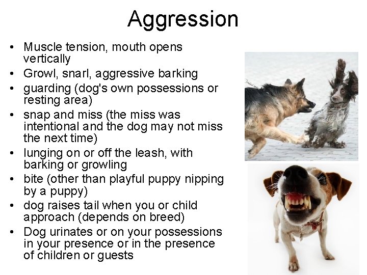 Aggression • Muscle tension, mouth opens vertically • Growl, snarl, aggressive barking • guarding