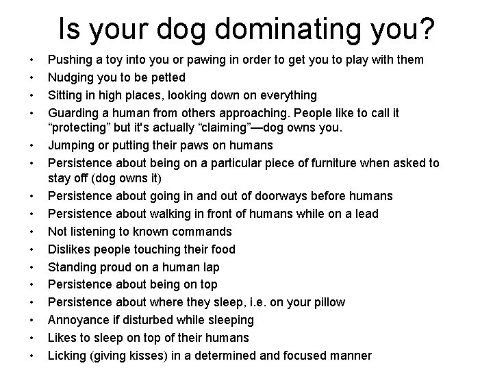 Is your dog dominating you? • • • • Pushing a toy into you