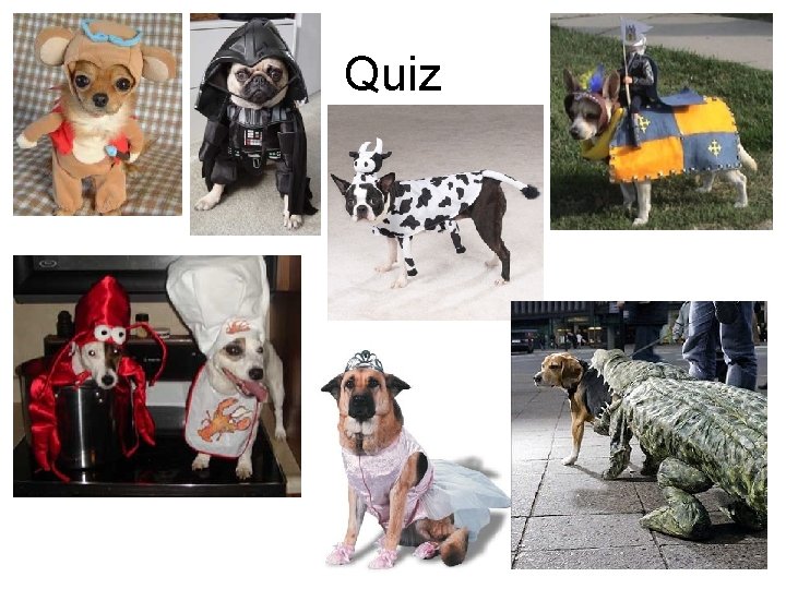 Quiz 