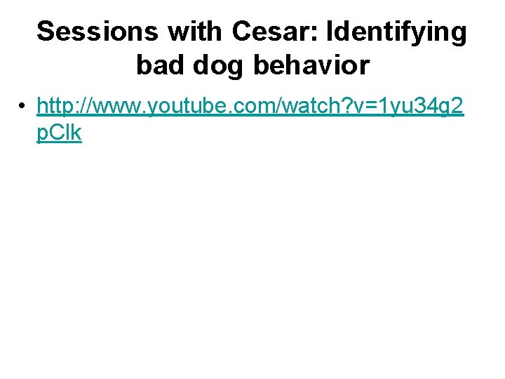 Sessions with Cesar: Identifying bad dog behavior • http: //www. youtube. com/watch? v=1 yu